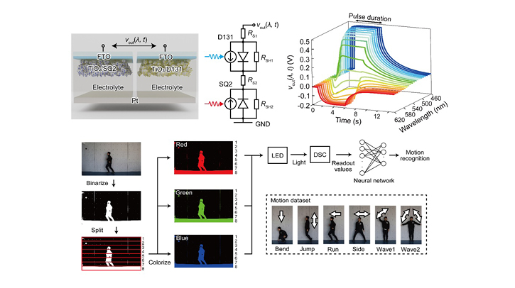 Researchers develop self-powered artificial synapse that mimics human color vision.