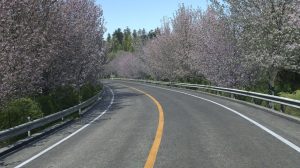 Japan's Hakone Turnpike Route simulation. 